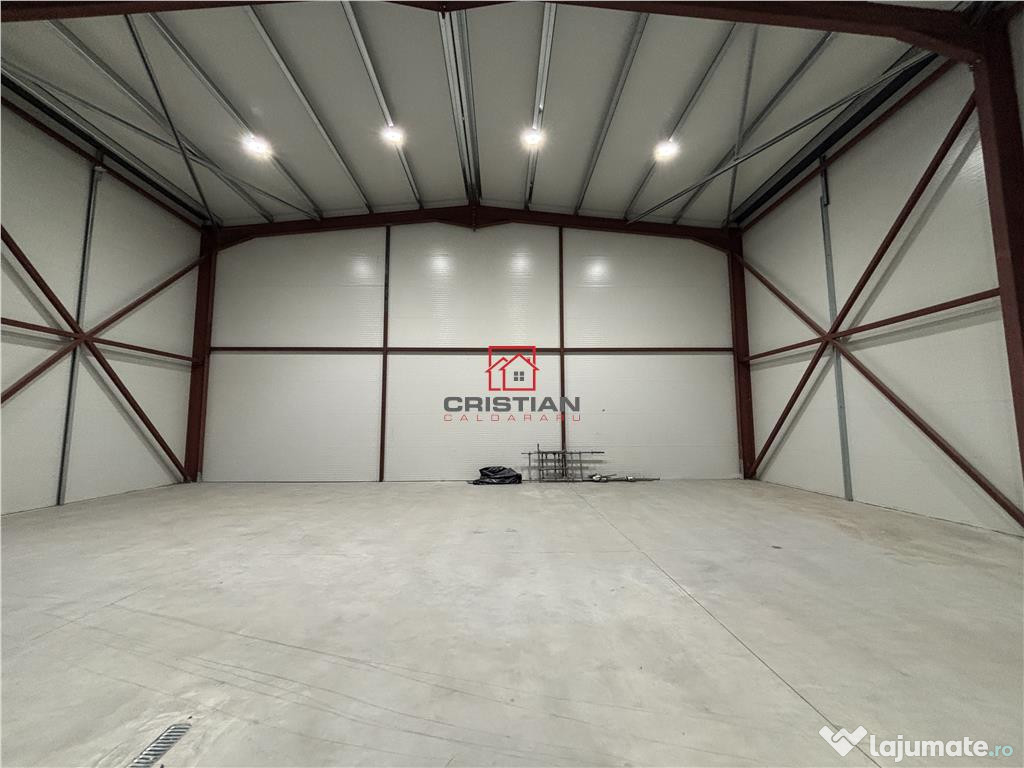 Depozit/hala/spatiu industrial Theodor Pallady - Drumul Int