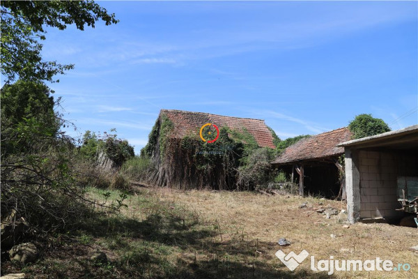 Casa traditionala Bruiu Somartin judet Sibiu
