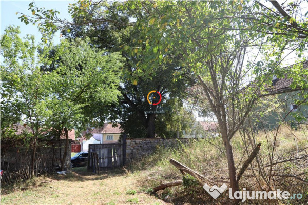 Casa traditionala Bruiu Somartin judet Sibiu