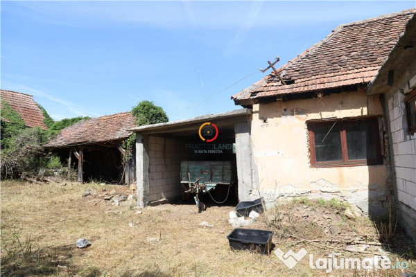 Casa traditionala Bruiu Somartin judet Sibiu