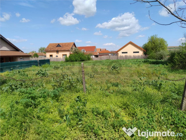 RECO Teren intravilan, Biharea 