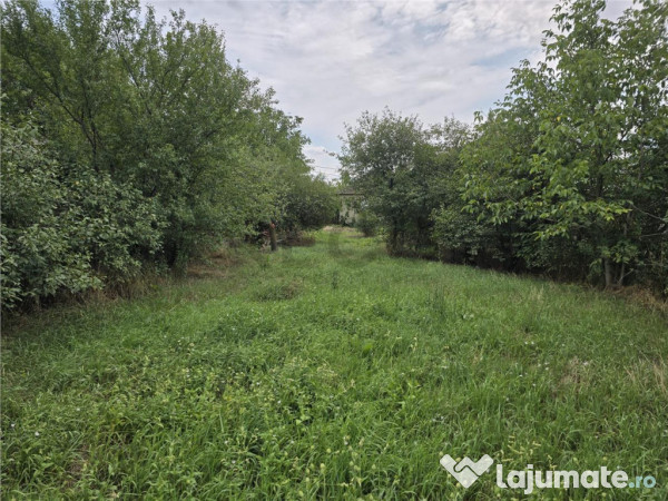 RECO IMOBILIARE CASA BATRANEASCA TINCA 