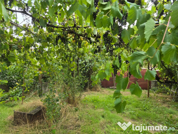 RECO IMOBILIARE CASA BATRANEASCA TINCA 