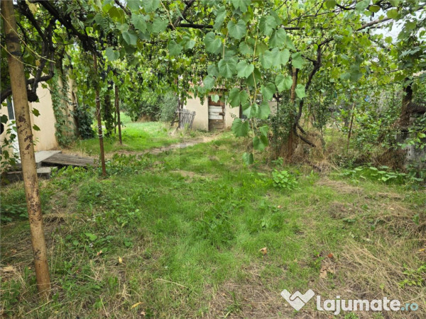 RECO IMOBILIARE CASA BATRANEASCA TINCA 