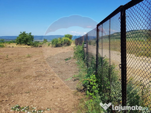 Teren de vanzare in Schela Cladovei, 1760 MP, Intravilan