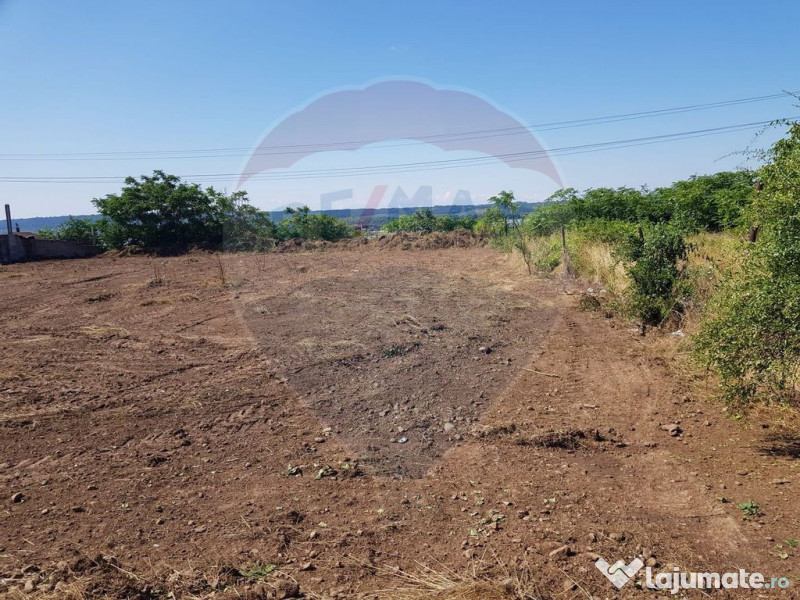 Teren de vanzare in Schela Cladovei, 1760 MP, Intravilan