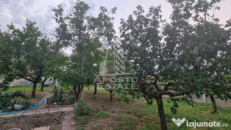 Casa individuala cu 5 camere in Giarmata 