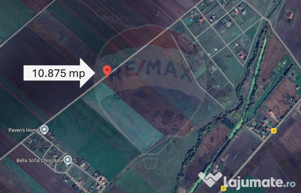 Teren 10.875 MP | Hălchiu | Jud. Brasov