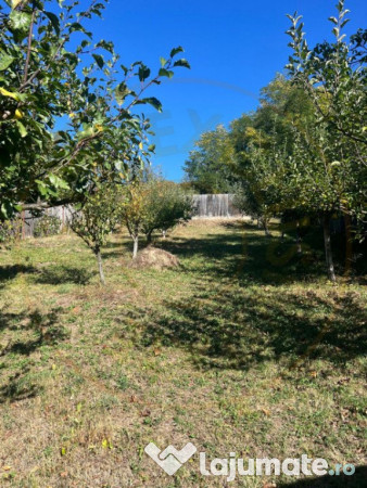 Teren 1128 intravilan + Casa batraneasca Darmanesti Arges 