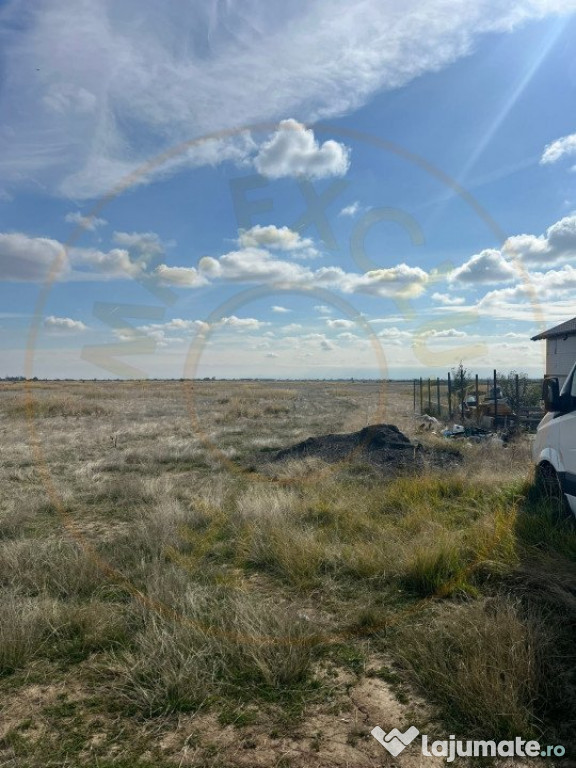 Teren 10.000 mp zona industriala Albota 12 euro mp -Arges