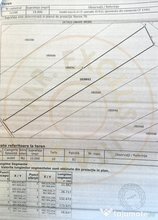 Teren 10.000 mp zona industriala Albota 12 euro mp -Arges