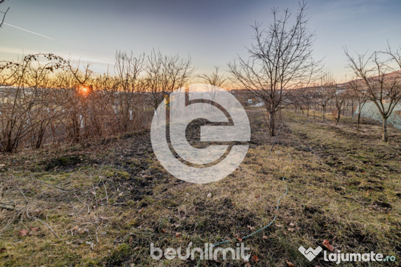Casa individuala Sibiu - Un singur nivel - Teren 1310Mp - 2 