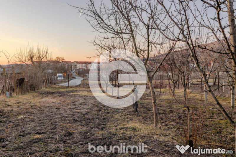 Casa individuala Sibiu - Un singur nivel - Teren 1310Mp - 2 