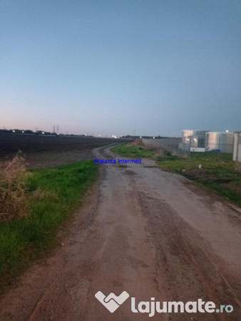 Teren constructie hale