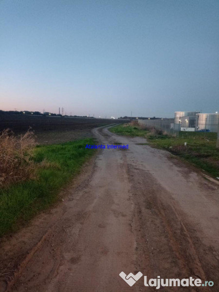 Teren constructie hale