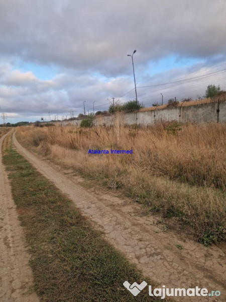 Teren constructie hale