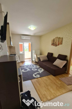 Apartament cu 2 camere, open-space, Bucium 