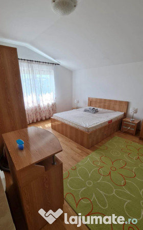 Apartament cu 2 camere, open-space, Bucium 