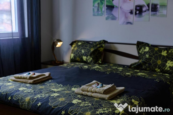 Apartament cu 2 camere de inchiriat zona Cragasi 