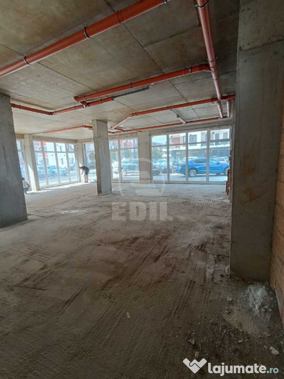 Spatiu comercial de vanzare, Terra