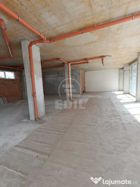 Spatiu comercial de vanzare, Terra