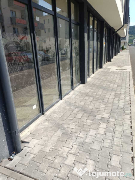 Spatiu comercial de vanzare, Terra