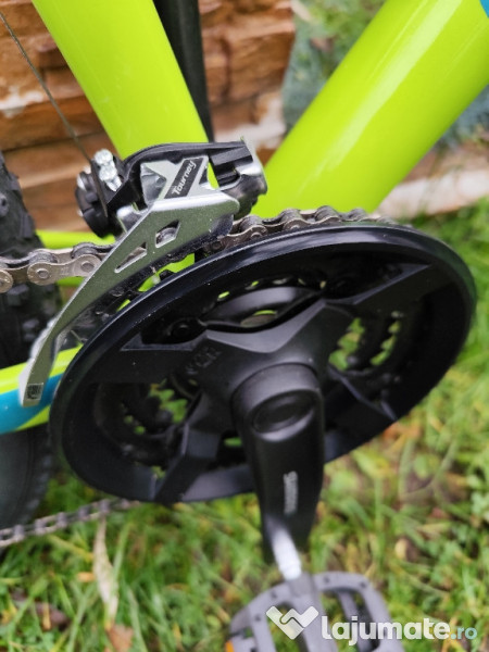 Bicicletă MTB Focus Whistler 29r 