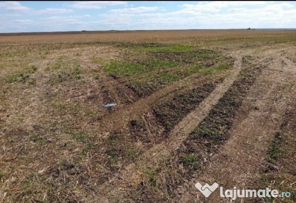 Teren extravilan cota parte 1/2 Alexandria, ID: R2814838