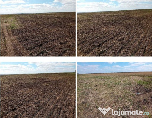 Teren extravilan cota parte 1/2 Alexandria, ID: R2814838