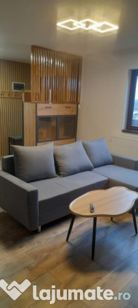 Casa P+M de inchiriat Clinceni Put Olteni 