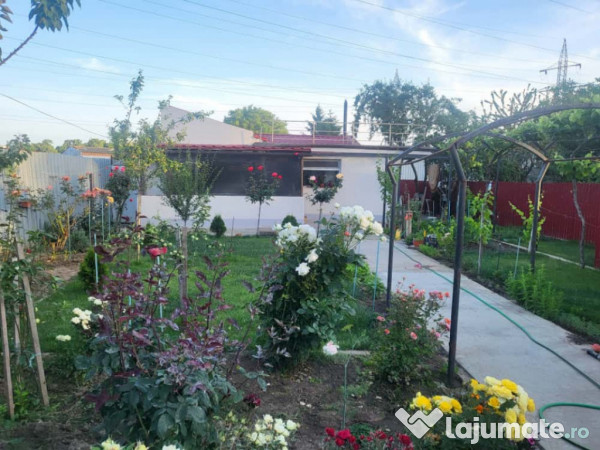 Casă + Hală Industrială + 1000 mp Teren in zona CET, Cons