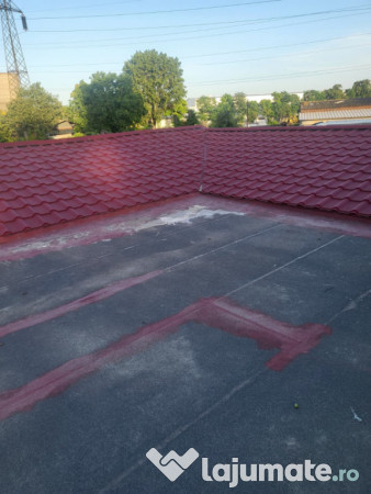 Casă + Hală Industrială + 1000 mp Teren in zona CET, Cons