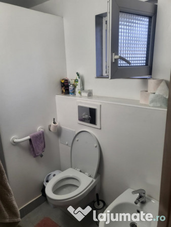 Casă + Hală Industrială + 1000 mp Teren in zona CET, Cons