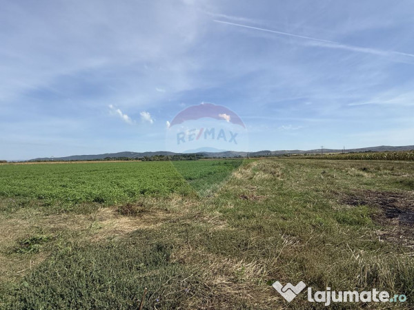 Teren Investitii 2.5 Ha | Zona Tetarom III Rascruci