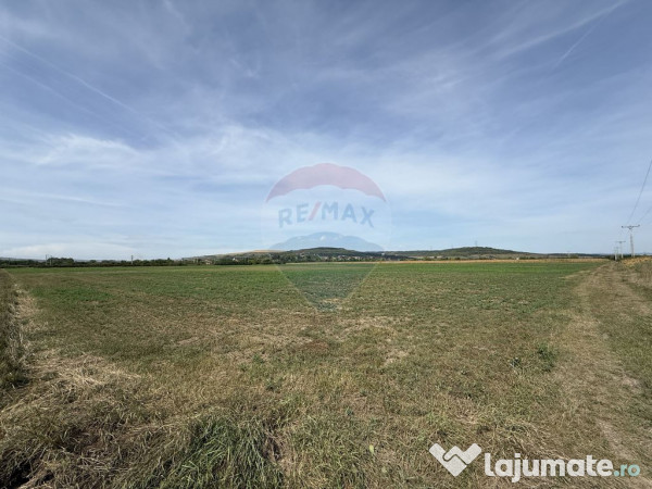 Teren Investitii 2.5 Ha | Zona Tetarom III Rascruci