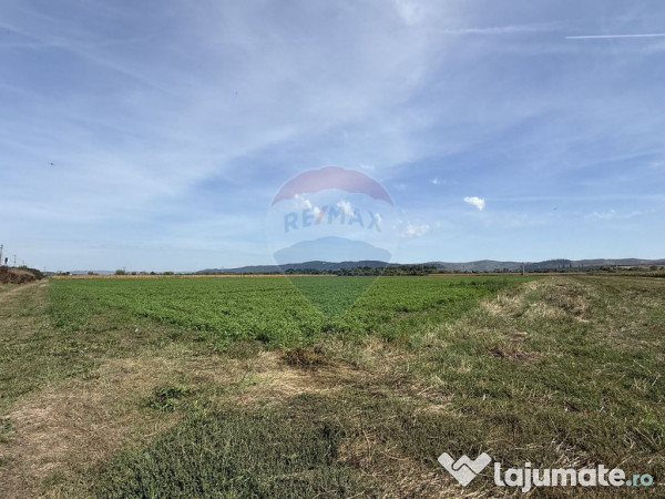 Teren Investitii 2.5 Ha | Zona Tetarom III Rascruci
