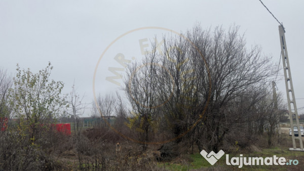 Teren de 533 mp - 10 min de Pitesti-Albota Argeș! 
