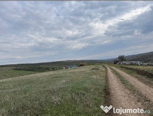 Teren extravilan Perieni, cota parte 6/16 , ID: R2822105 