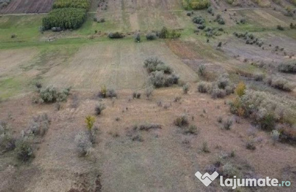 Teren extravilan Perieni, cota parte 6/16 , ID: R2822105 