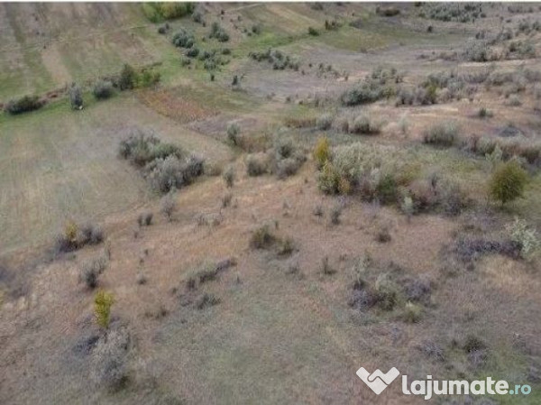 Teren extravilan Perieni, cota parte 6/16 , ID: R2822105 