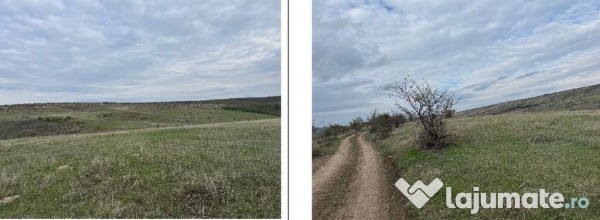 Teren extravilan Perieni, cota parte 6/16 , ID: R2822105 