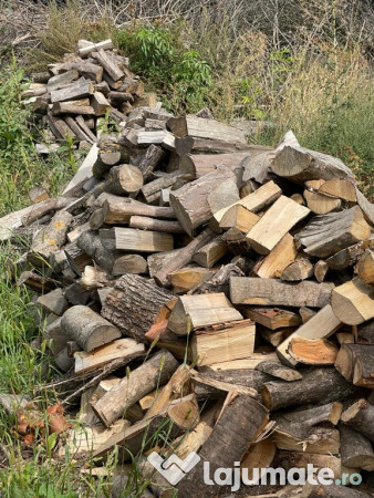 Depozit lemn de foc verde sau uscat Botosani 