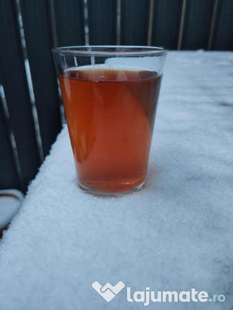 Vin alb Nohan/tuică 