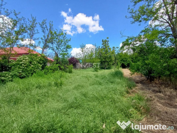 TEREN INTRAVILAN, 602 MP, REDIU