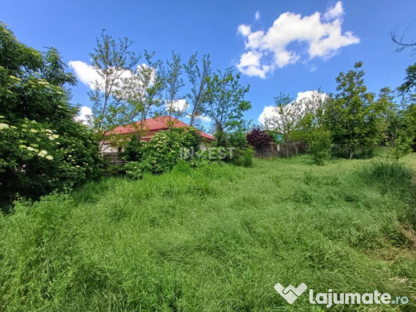 TEREN INTRAVILAN, 602 MP, REDIU