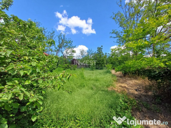 TEREN INTRAVILAN, 602 MP, REDIU