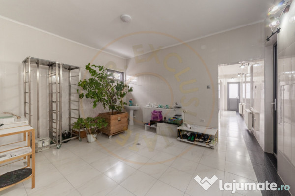 Clădire industrială / comercială – 320 mp utili | Tere 