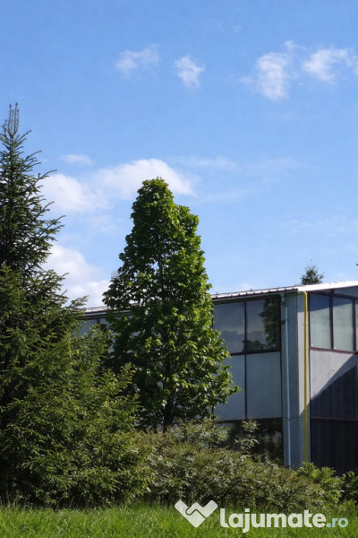 Hala industriala de inchiriat pe Calea Bucuresti folosinta multipla