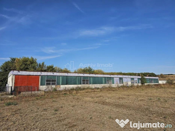 Hala industriala (1000 mp) si teren (4000 mp), Scornicesti, 