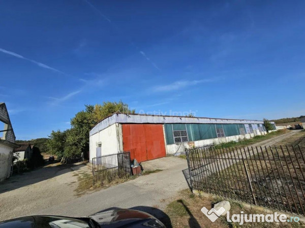 Hala industriala (1000 mp) si teren (4000 mp), Scornicesti, 